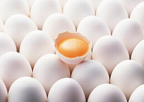 农家散养土鸡蛋价格多少钱一斤-- 福州鑫宏兴蛋业有限公司