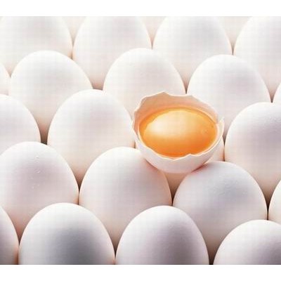 农家散养土鸡蛋价格多少钱一斤