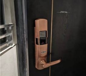 如何选择防盗门门锁，出租房间是否需要安装指纹锁？
