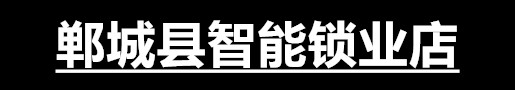 郸城县智能锁业店