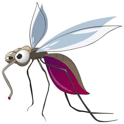 为何冬季会有蚊子，消灭小飞虫的方法