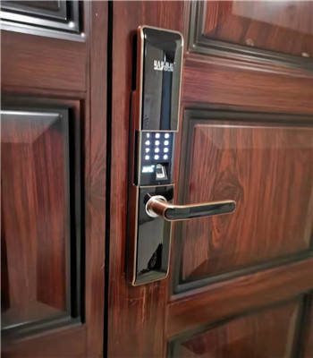 没有钥匙进不出家门该怎么办，指纹锁的安全性能和维护技巧-- 郸城县智能锁业店