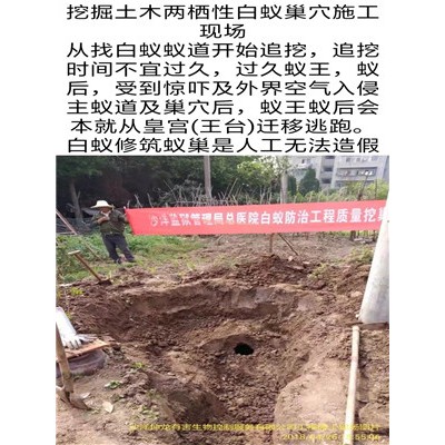 荆门白蚁防治中心介绍了建筑物白蚁的原因。