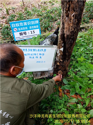 荆门白蚁防治