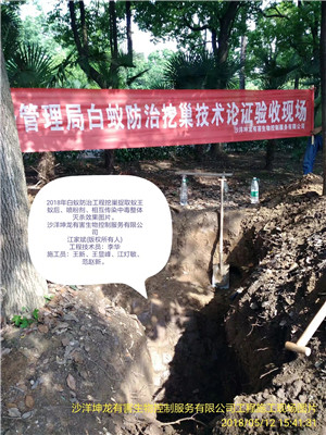 荆门白蚁防治
