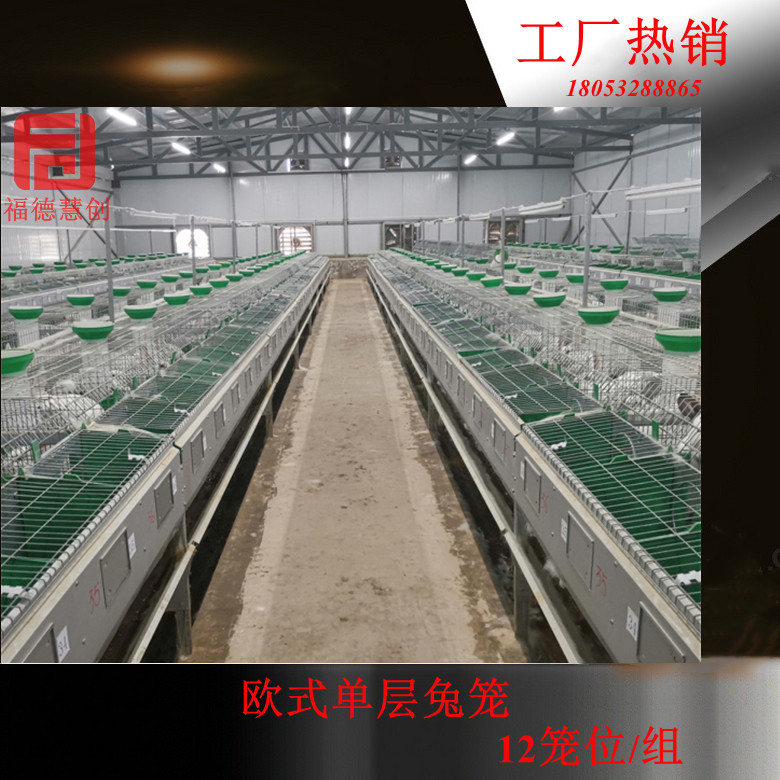 单层育肥兔笼 12位欧式繁育笼子母笼工厂批发-- 青岛福德慧创农牧科技有限公司