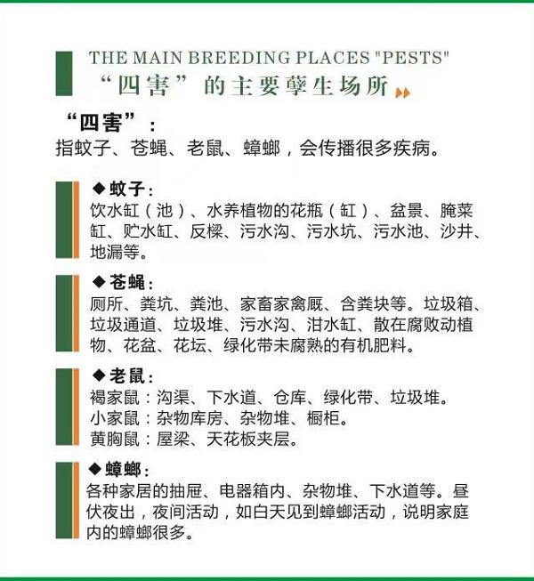 赤峰除四害公司科普商场内餐厅的虫害防治方法-- 赤峰市润城有害生物防治有限公司