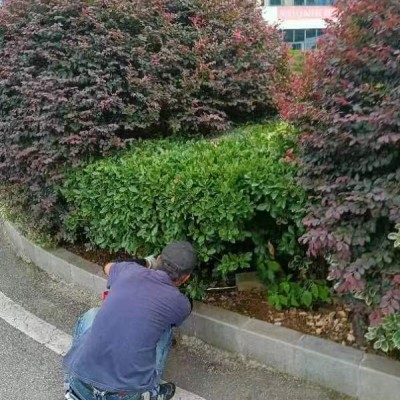 阳新灭白蚁公司分享了仓库的白蚁防治