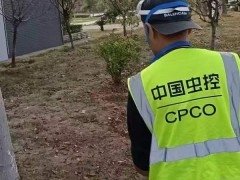 白蚁容易腐蚀家具的主要要点是什么？