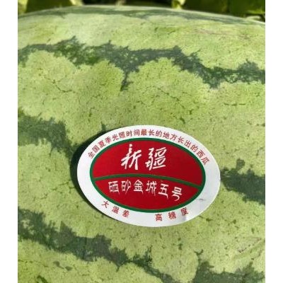 对于新疆大西瓜的种植要注意这些细节