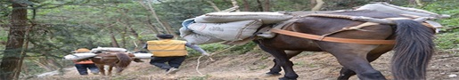 广东马帮搬运