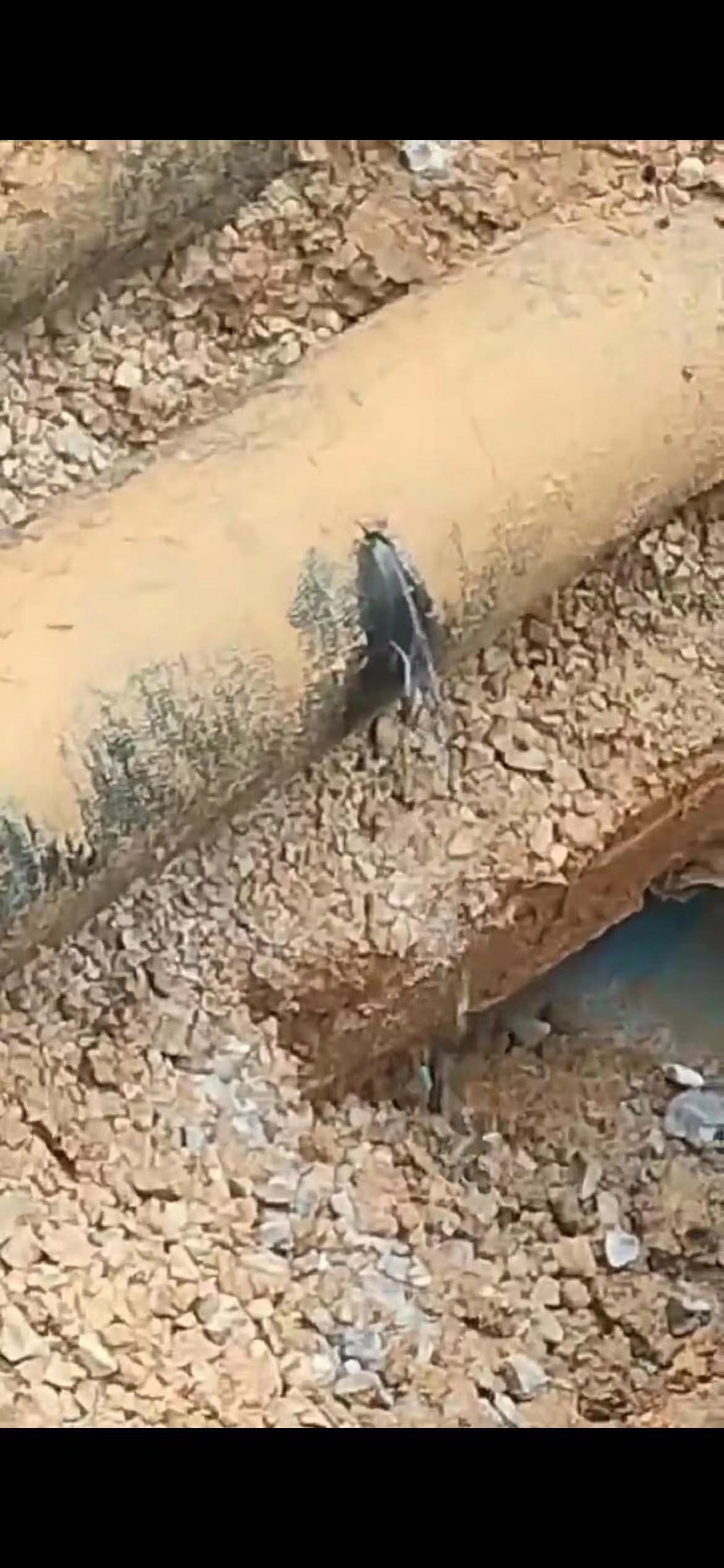 武汉消防管道漏水检测，避免安全事故-- 武汉万众亿鑫漏水检测公司