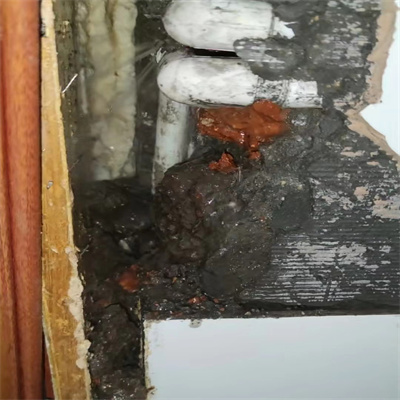 辽源地埋水管漏水查找漏水点有哪些方法？