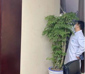 我们怎样才能彻底去除新车的甲醛？