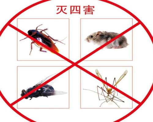 舟山杀虫公司介绍蟑螂药的分类及特点