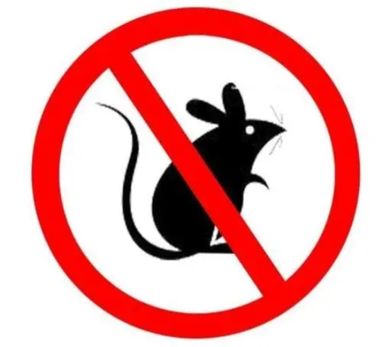 海盐灭鼠提示老鼠的危害