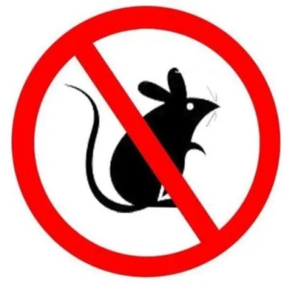常熟灭鼠提示老鼠的危害