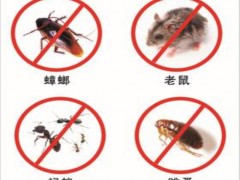 常熟灭蟑螂公司介绍灭蟑螂的小方法