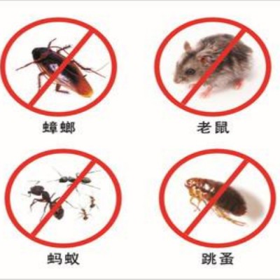 海宁灭白蚁公司介绍白蚁的生物特性和