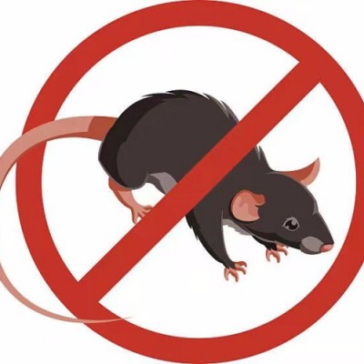 台州灭鼠公司提示灭鼠时注意事项
