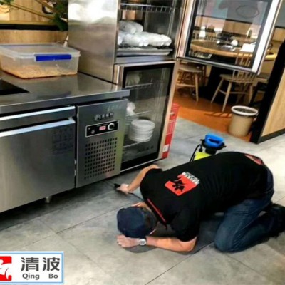 德清灭鼠公司提示餐饮店消杀四害的危