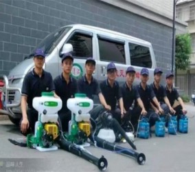 德清除四害公司教你日常如何预防蟑螂