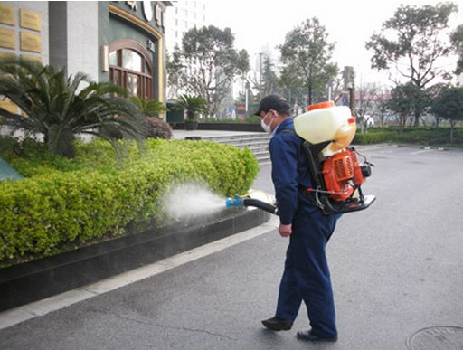 小榄灭白蚁：一个专业的服务，一个干净的环境-- 中山市伟航白蚁虫害防治有限公司