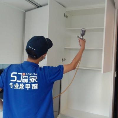 去除甲醛的两大类方法是什么？