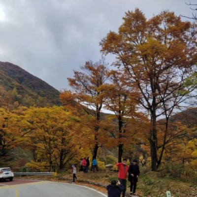 神农架包车在哪里找师傅靠谱