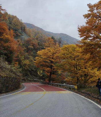神龙架旅游包车打您领略神农架的春夏秋冬-- 神农架忠胜汽车服务有限公司