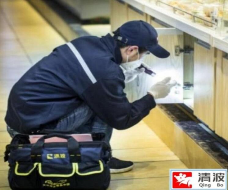 常州灭鼠公司推荐几种有效的灭鼠方法-- 常州清波杀虫灭鼠公司