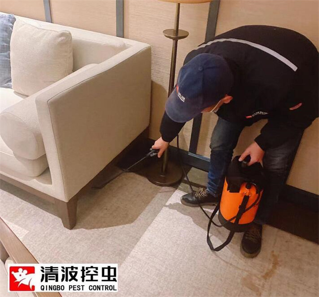常州灭蟑螂公司常见问题解答-- 常州清波杀虫灭鼠公司