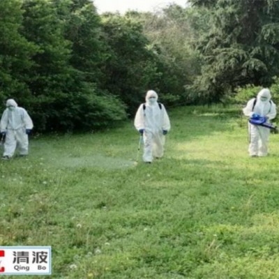 常州杀虫公司介绍蟑螂有哪些特点