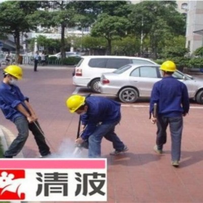 常州杀虫公司介绍蟑螂是如何进入家里