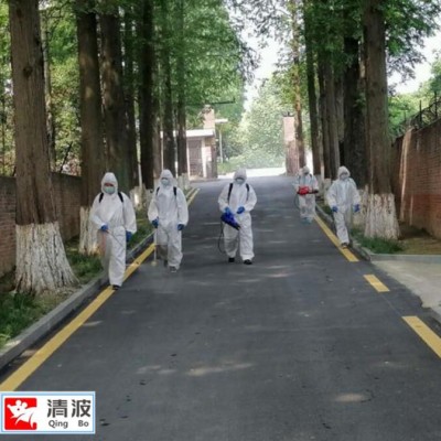 常州白蚁防治公司教你如何判断家里是