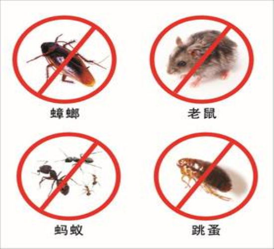 宿迁灭白蚁公司四害防治措施有哪些