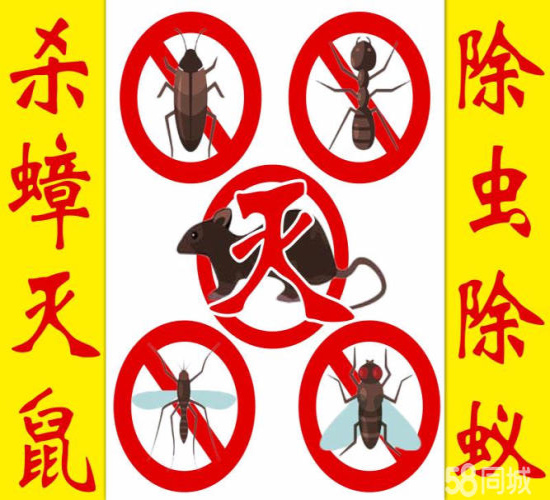 泗阳灭鼠灭蟑螂的方法有哪些