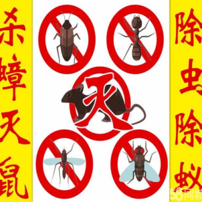 泗阳灭鼠灭蟑螂的方法有哪些