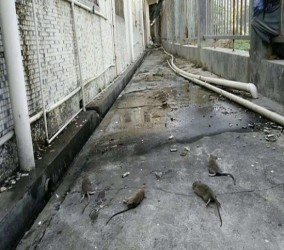 宿迁消杀公司介绍消毒操作方法
