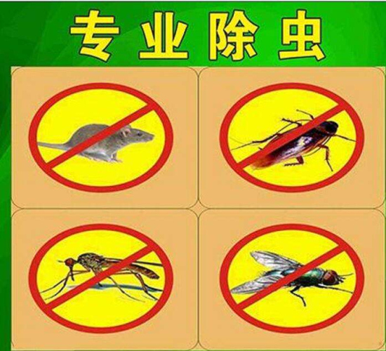 宿迁白蚁防治公司