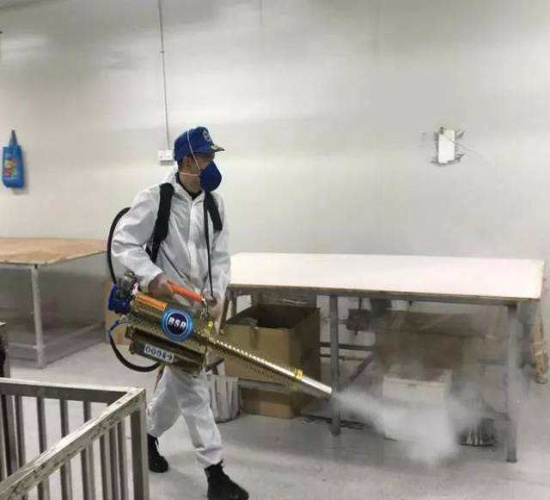 泗洪县灭鼠公司