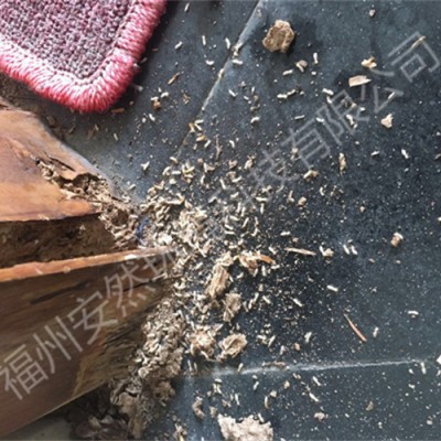 福州灭白蚁公司提示家庭白蚁防治的重