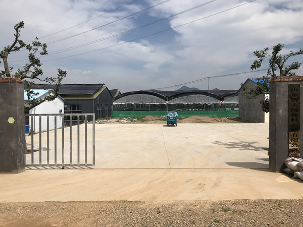 山东林蛙基地在哪里
