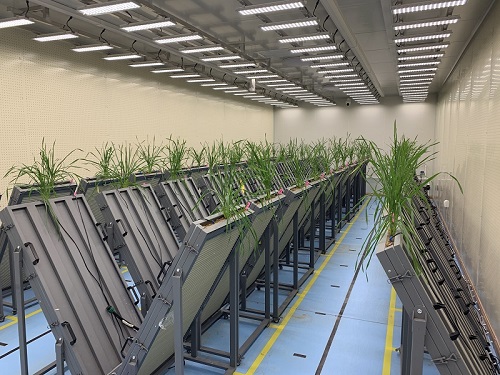 实验室传送带植物表型平台-- 北京易盛泰和科技有限公司