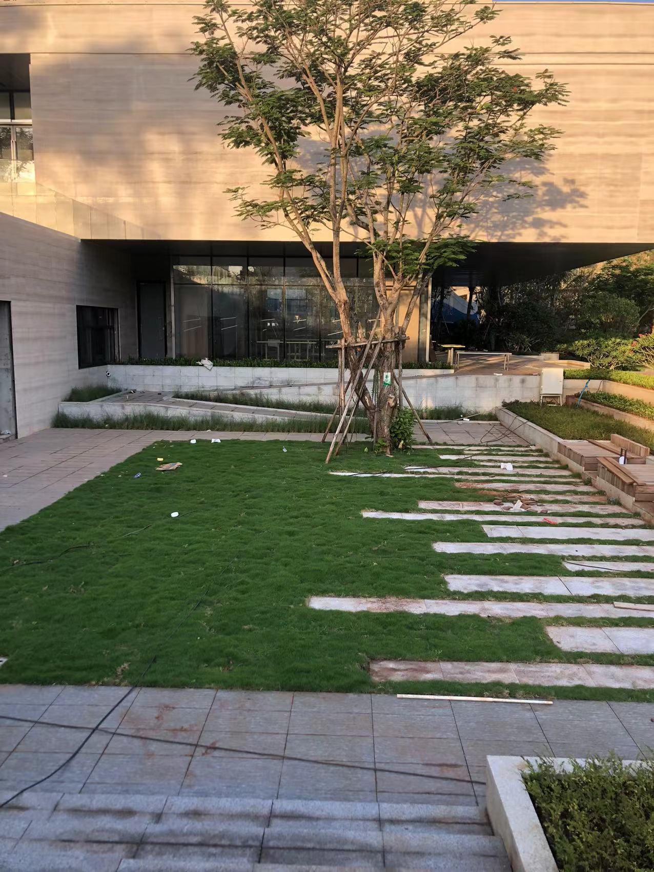 海南草坪价格与草坪产地之间的关系-- 海口龙华区恒源草种植场