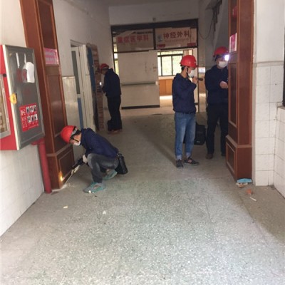 小榄灭白蚁：守护家园的静谧与安全