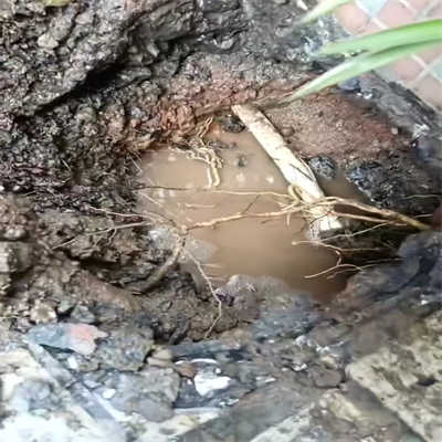 花园浇水系统是否存在泄漏？自检指南