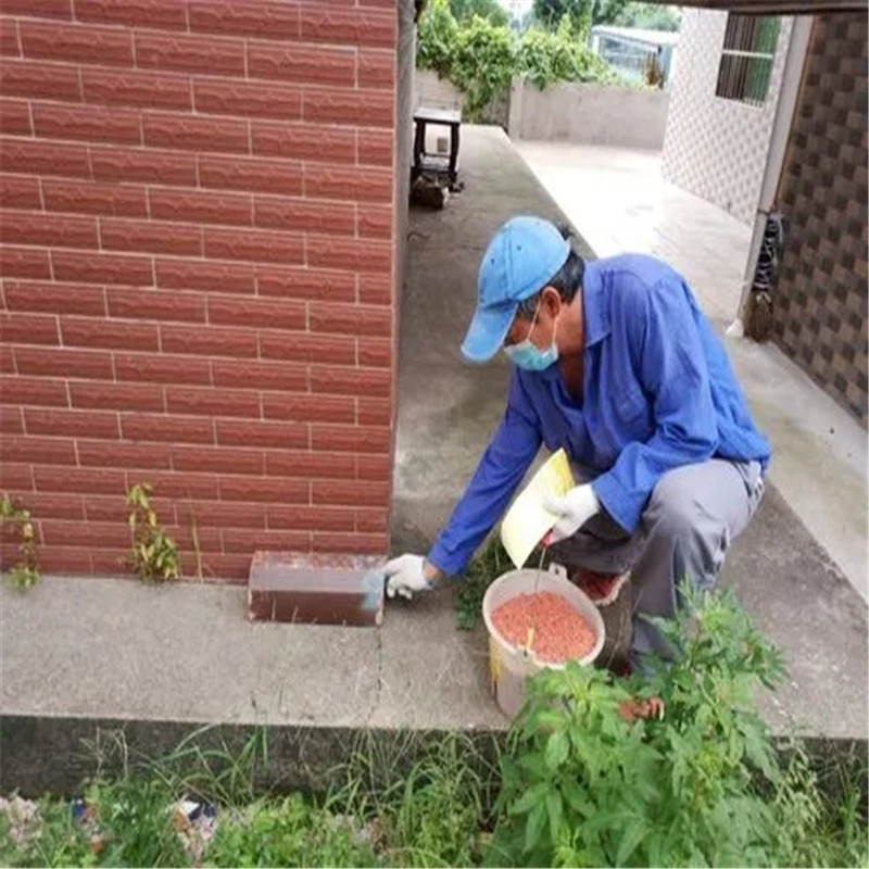 常州灭鼠公司，专业守护，让家园无扰
