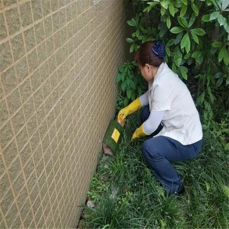 常州除四害，守护城市卫生的先行者-- 常州洁居美控虫服务公司