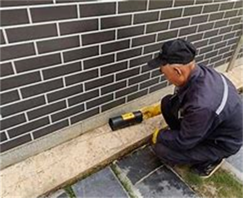 常州灭蟑螂，打造健康生活环境